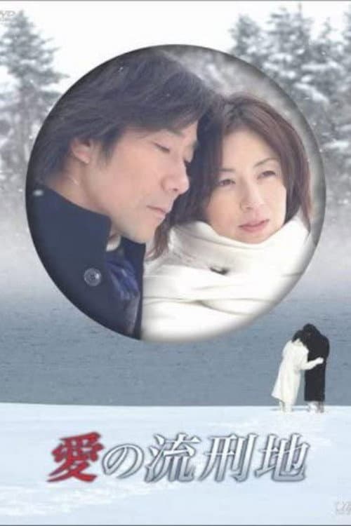 Afiche de 愛の流刑地