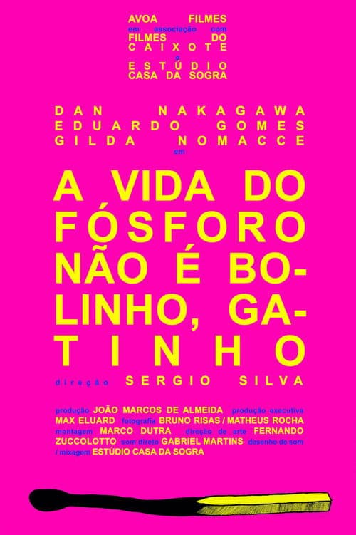 Afiche de A Vida do Fósforo Não É Bolinho, Gatinho