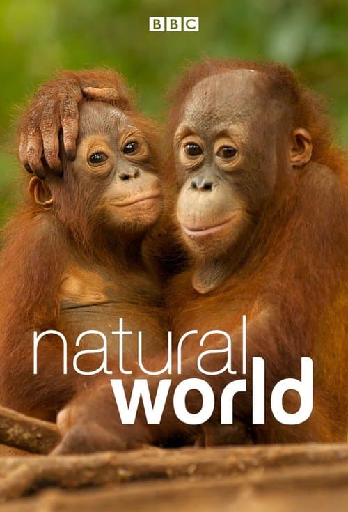 Afiche de Mundo Natural