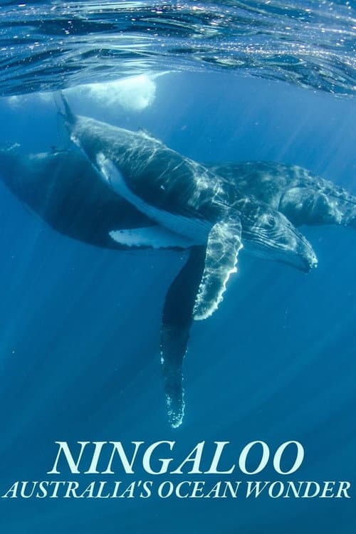Afiche de Ningaloo Nyinggulu