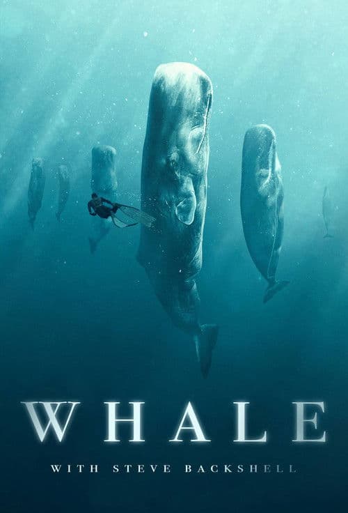 Afiche de Whale with Steve Backshall