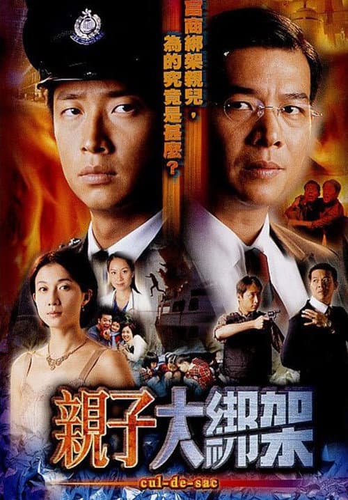 Afiche de 親子大綁架