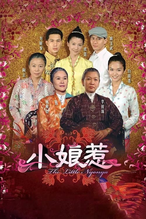 Afiche de 小娘惹