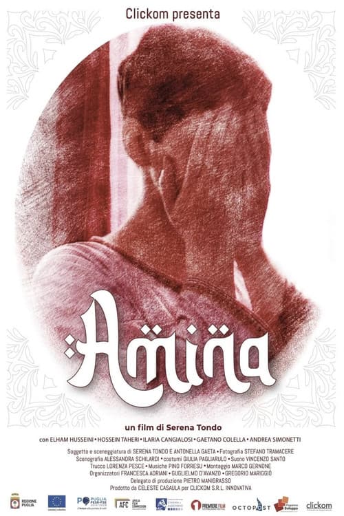 Afiche de Amina