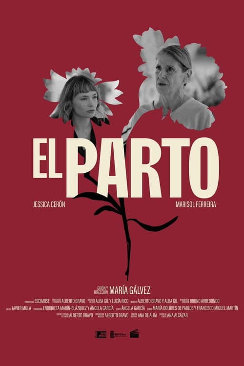 Afiche de El Parto