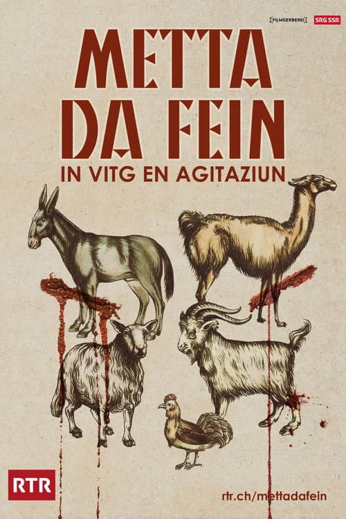 Afiche de Metta da fein