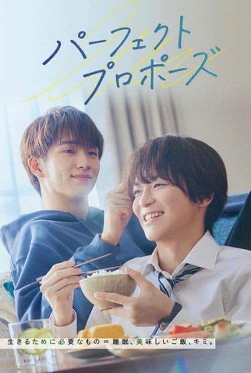 Afiche de Perfect Propose