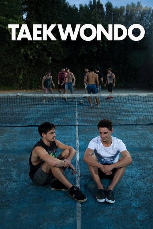 Afiche de Taekwondo