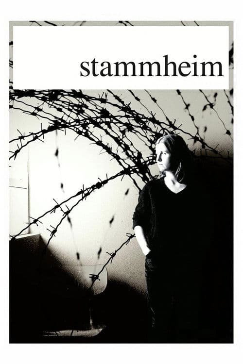 Afiche de Stammheim, el proceso