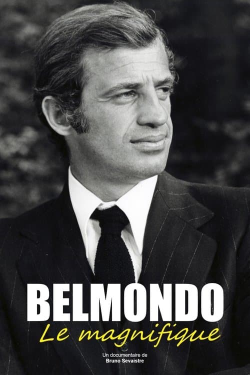 Afiche de Belmondo, le magnifique