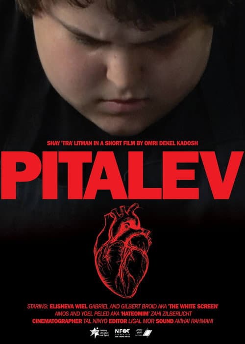 Afiche de Pitalev