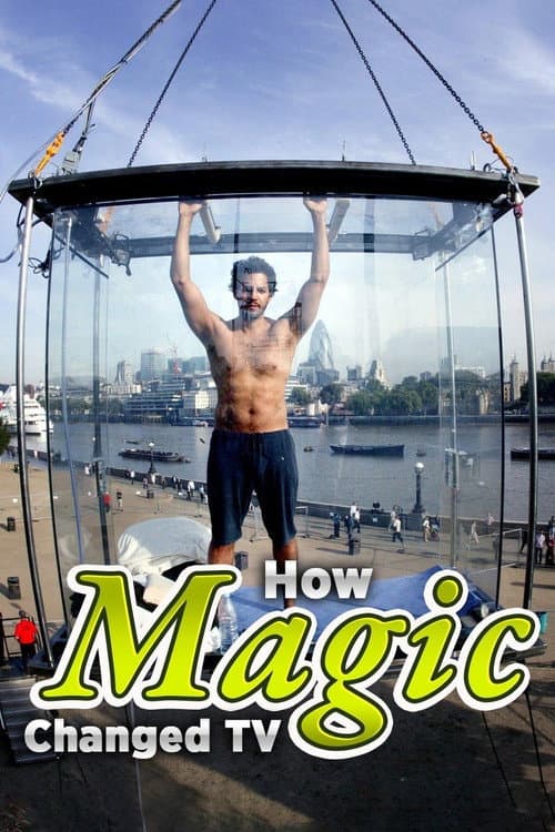 Afiche de How Magic Changed TV