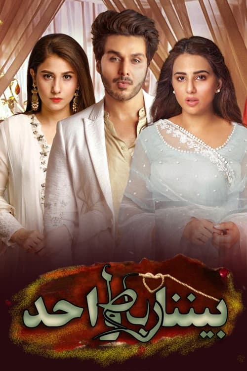 Afiche de Bandhey Aik Dor Se