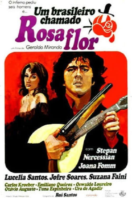Afiche de Um Brasileiro Chamado Rosaflor