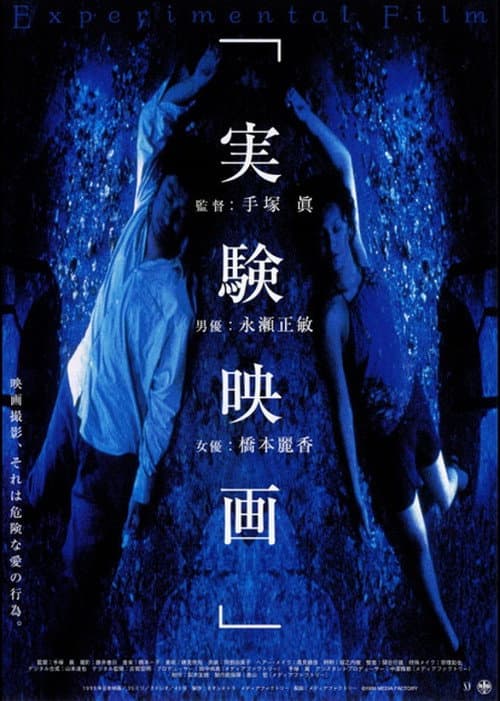 Afiche de The Experimental Film