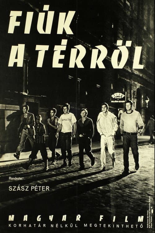 Afiche de Fiúk a térről