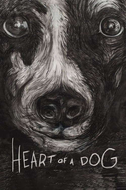 Afiche de Heart of a Dog