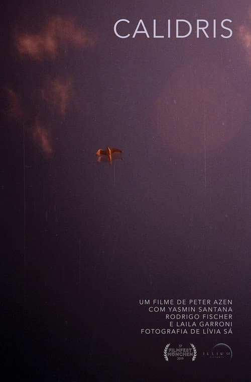 Afiche de Calidris