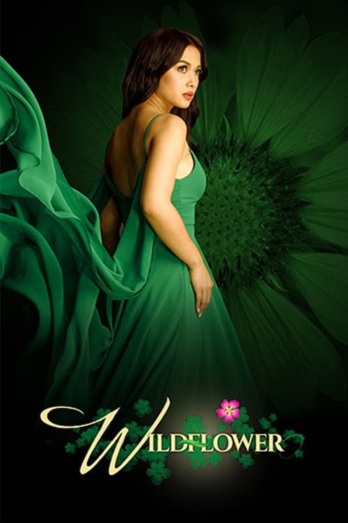 Afiche de Wildflower