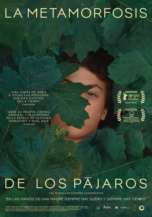 Afiche de La metamorfosis de los pájaros