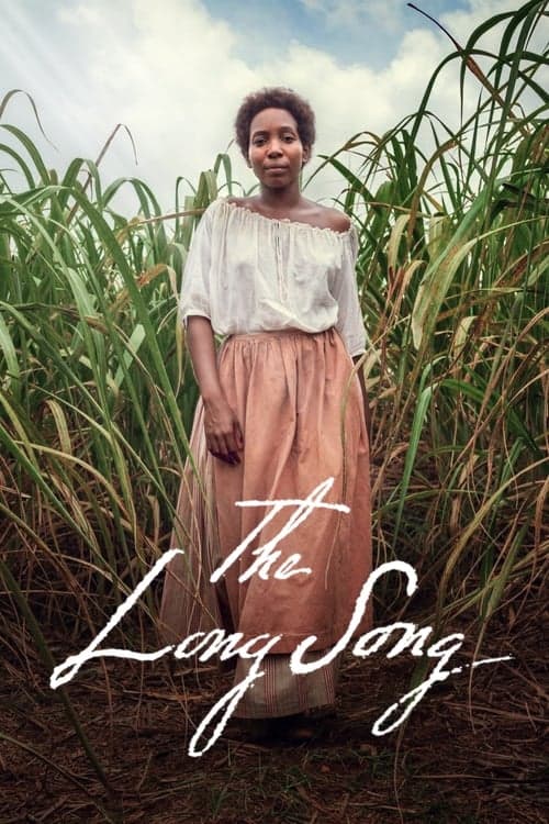 Afiche de The Long Song