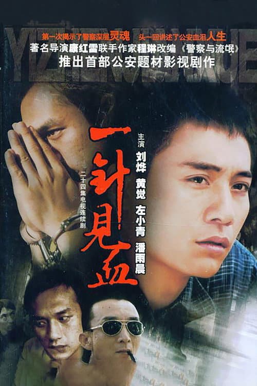 Afiche de 一针见血