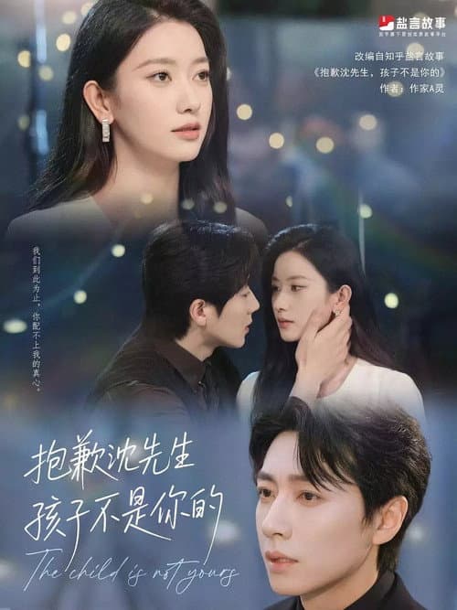 Afiche de 抱歉沈先生，孩子不是你的