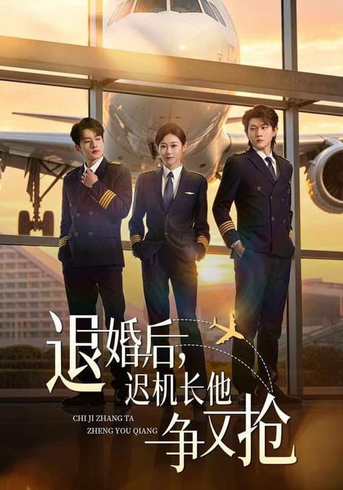Afiche de 退婚后，迟机长他争又抢