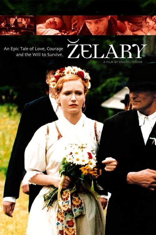 Afiche de Zelary