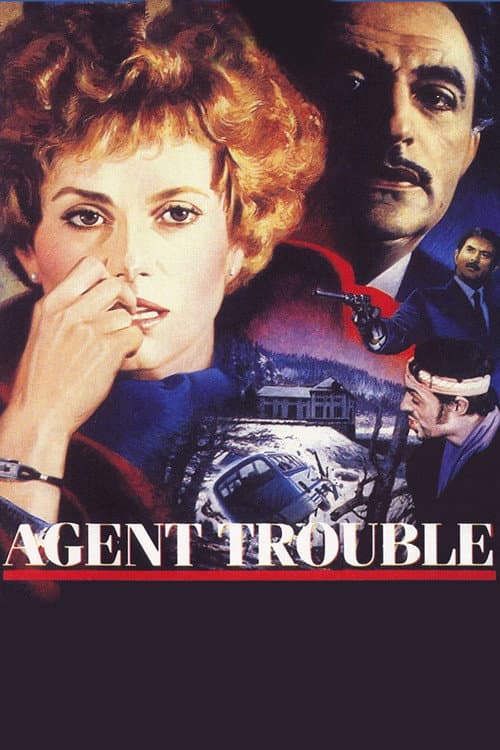 Afiche de Agent trouble