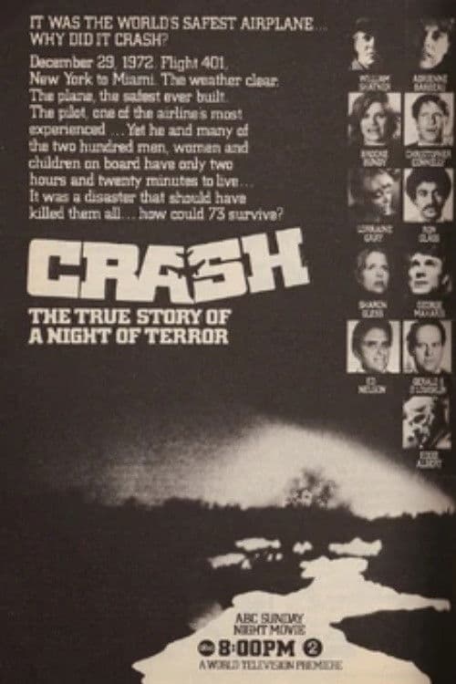 Afiche de The Crash of Flight 401