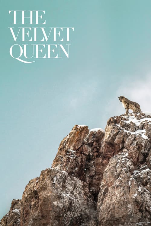 Afiche de The Velvet Queen