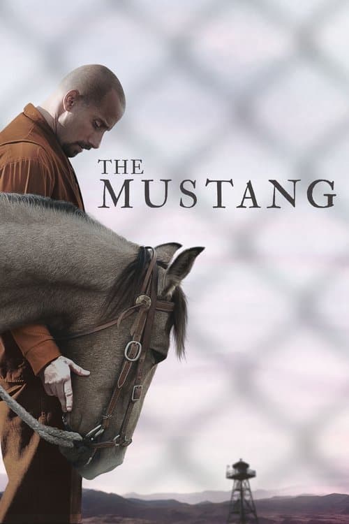 Afiche de The Mustang
