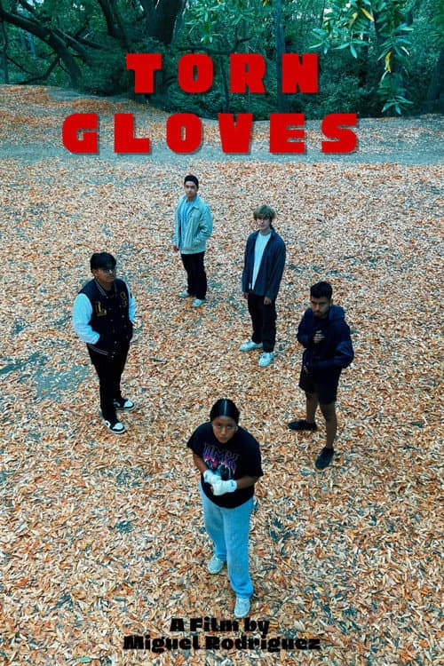 Afiche de Torn Gloves