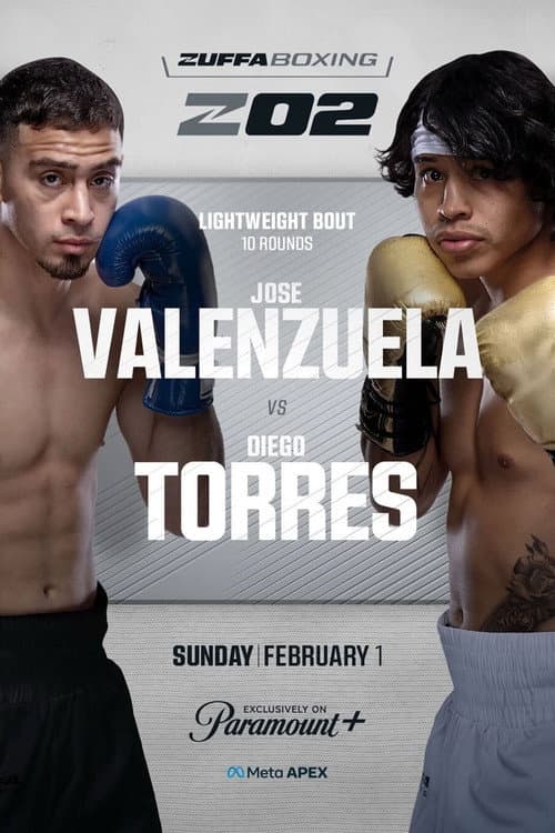 Afiche de Zuffa Boxing 02