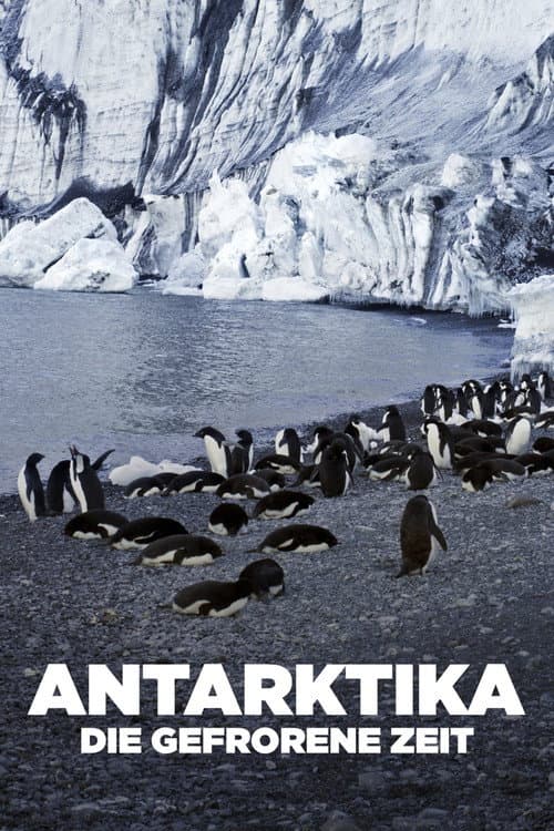 Afiche de Antarktika - Die gefrorene Zeit