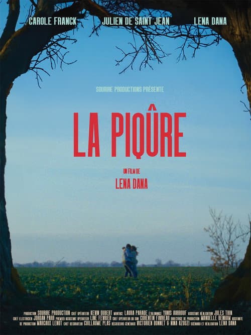 Afiche de La piqûre