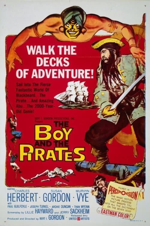 Afiche de The Boy and the Pirates