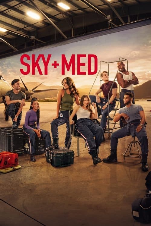 Afiche de SkyMed