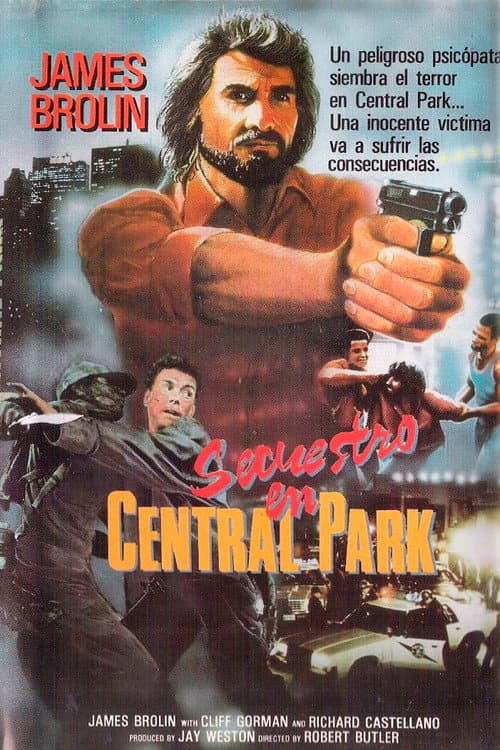Afiche de Secuestro en Central Park