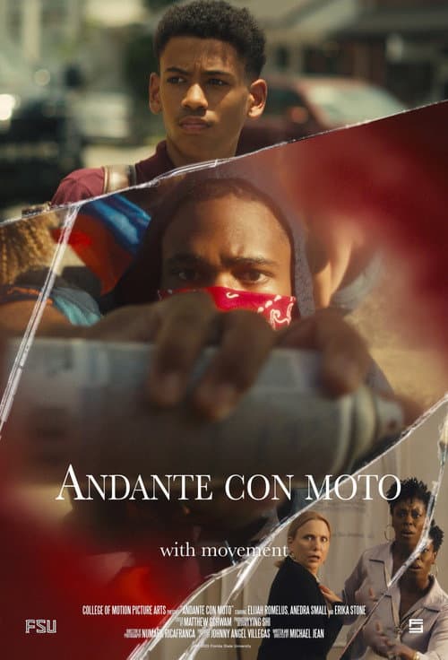Afiche de Andante con moto
