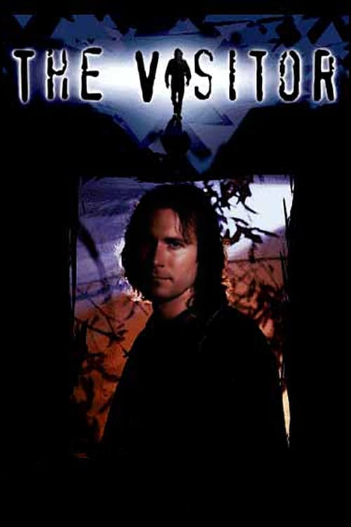 Afiche de The Visitor