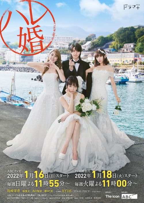 Afiche de ハレ婚。