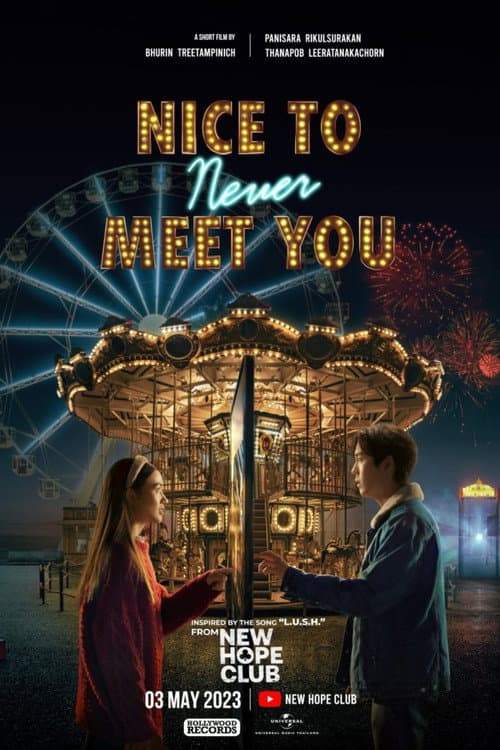 Afiche de Nice To Never Meet You
