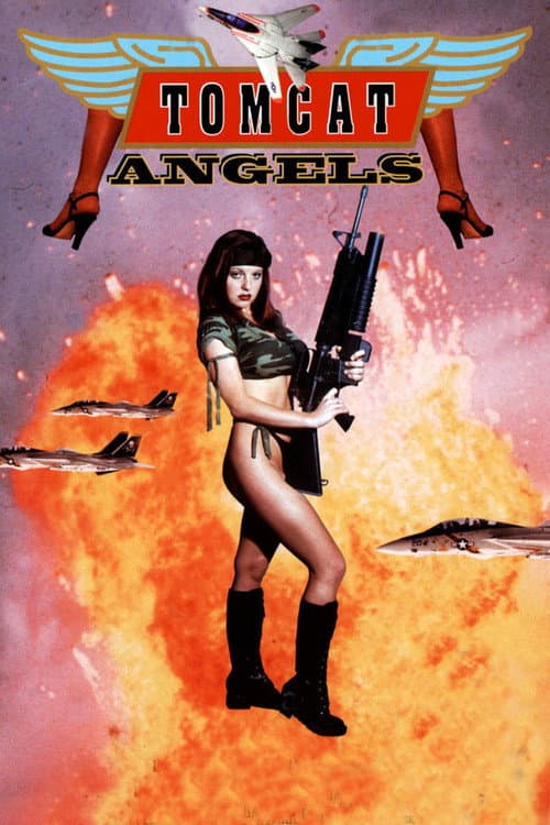Afiche de Tomcat Angels