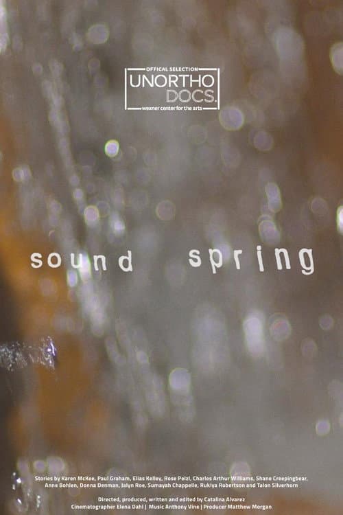 Afiche de Sound Spring