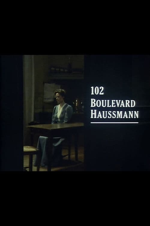 Afiche de 102 Boulevard Haussmann