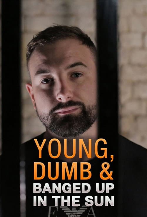 Afiche de Young Dumb and Banged Up in the Sun