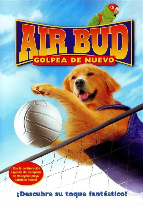 Afiche de Air Bud 5: Golpea de Nuevo