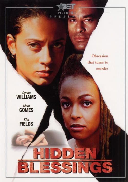 Afiche de Hidden Blessings